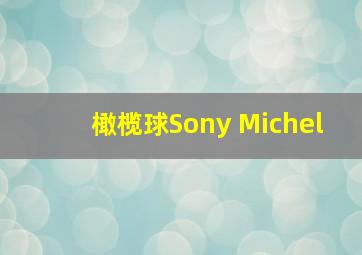 橄榄球Sony Michel